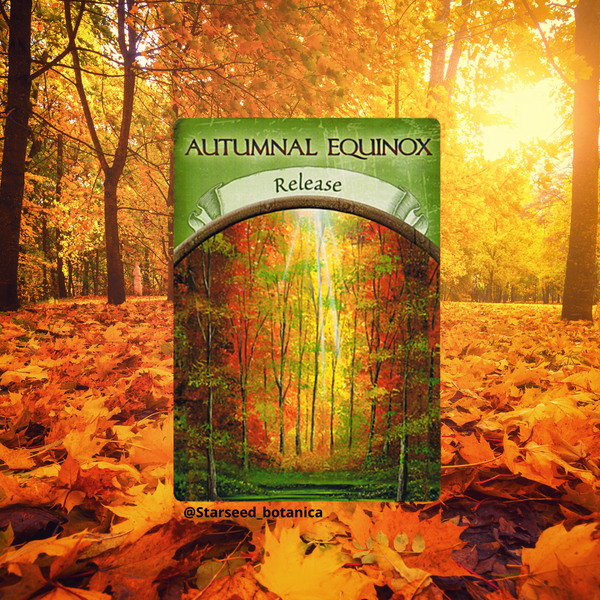 Autumnal Equinox (First Day of Fall) Energy Reading