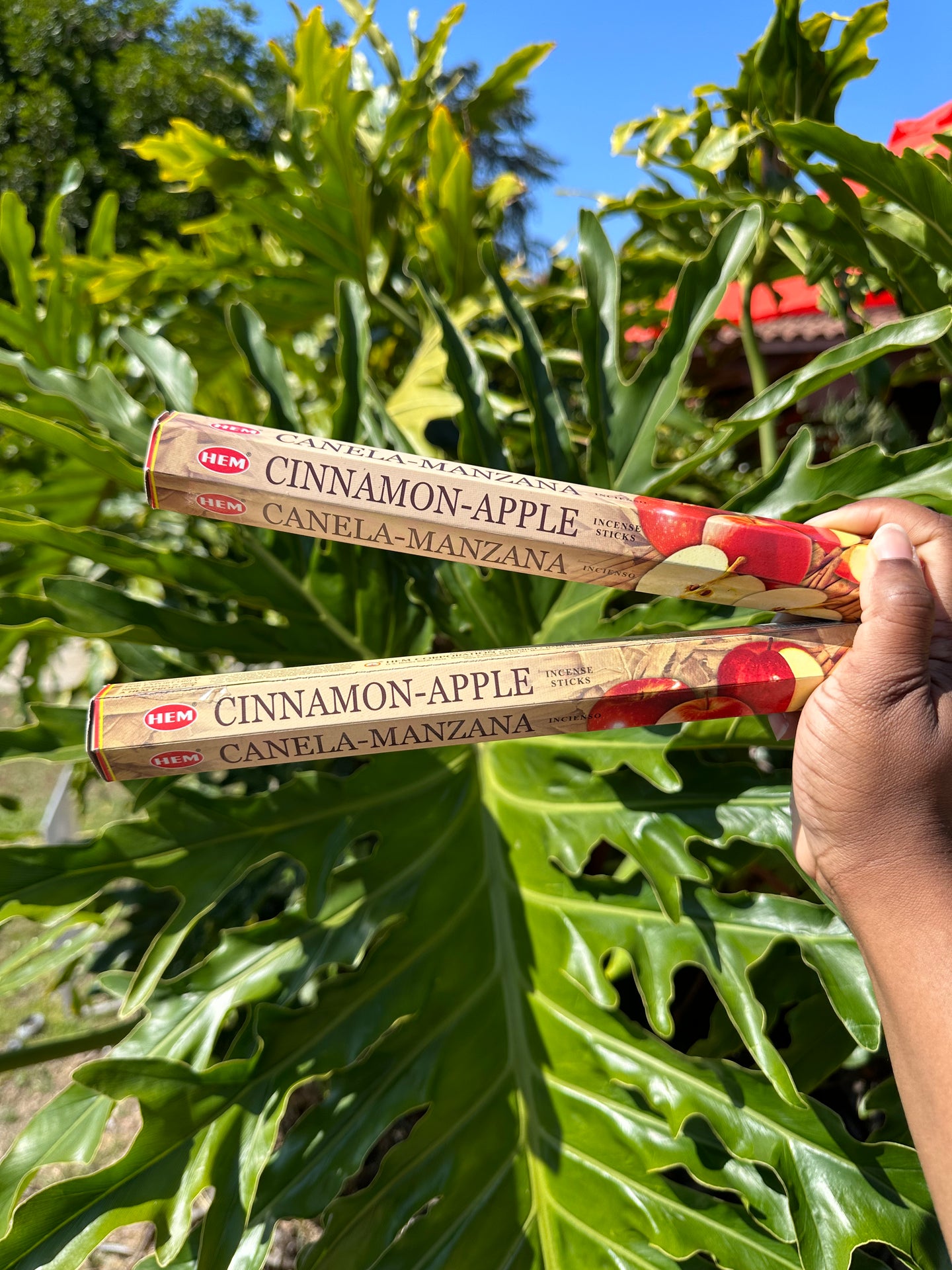 Cinnamon - Apple Incense