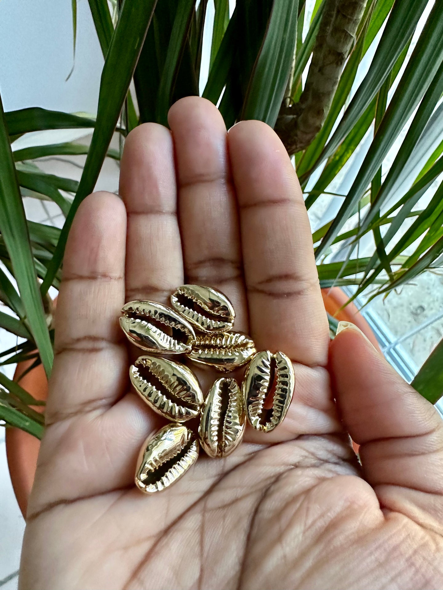 Gold Cowrie Shells