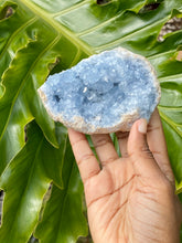 Load image into Gallery viewer, Angelic Celestite Geode
