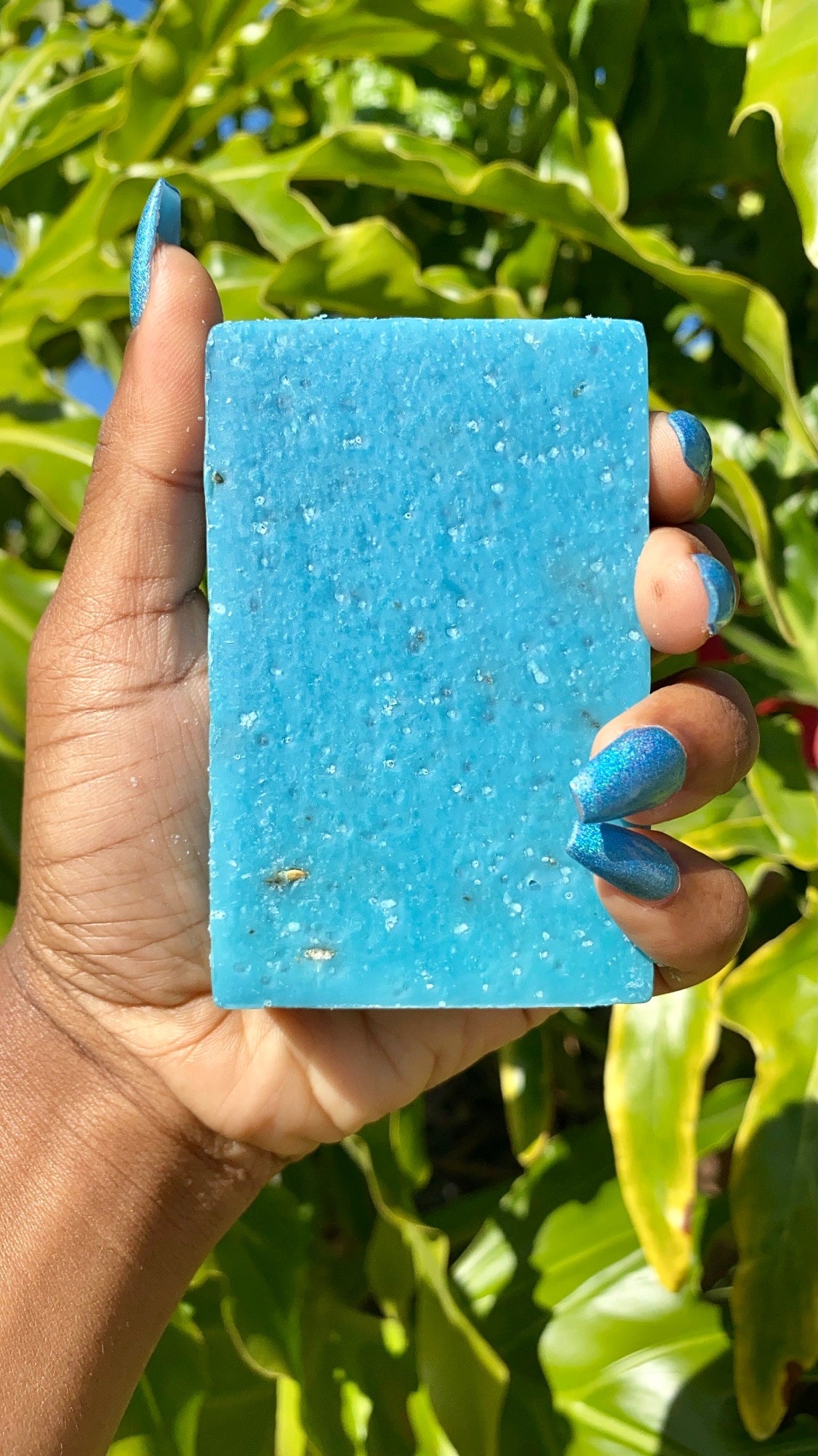 Blueberry Exfoliating Soap Bar